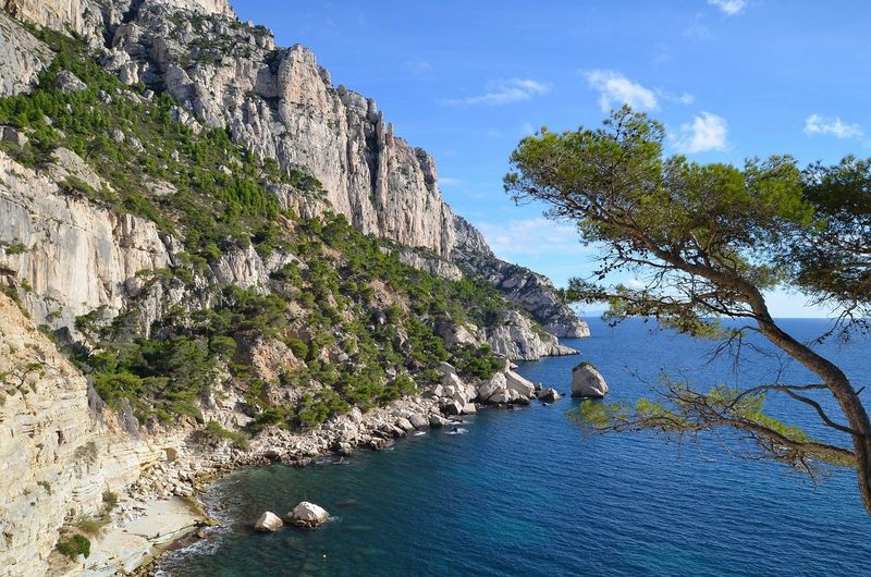 Camping 3 étoiles près des Bruyères