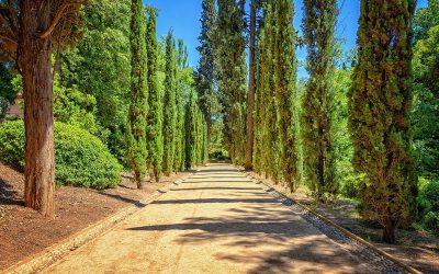 Camping 4 étoiles près de Fréjus