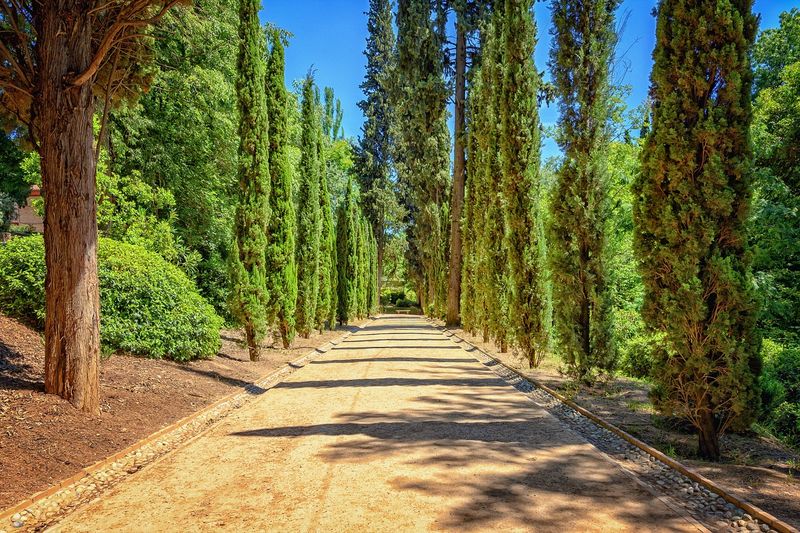 Camping 4 étoiles près de Fréjus