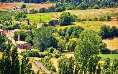 Camping 4 étoiles près de Solliès-pont