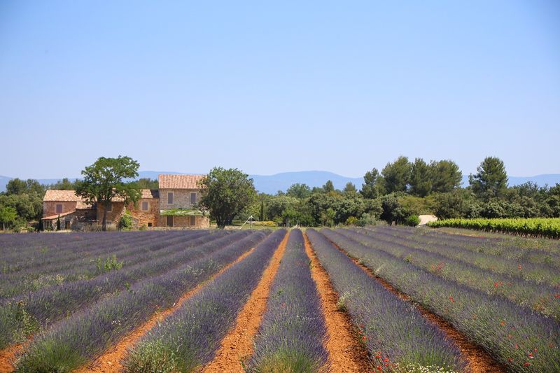 Camping à la Londes les Maures