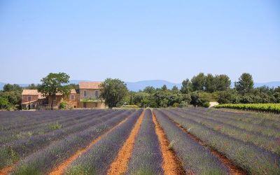 Camping avec commerces à proximité près des Tonneaux