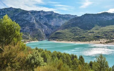 Camping avec petits chiens acceptés près de Toulon