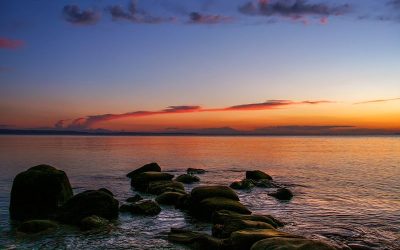 Camping avec soirées à thèmes près de Saint-Tropez