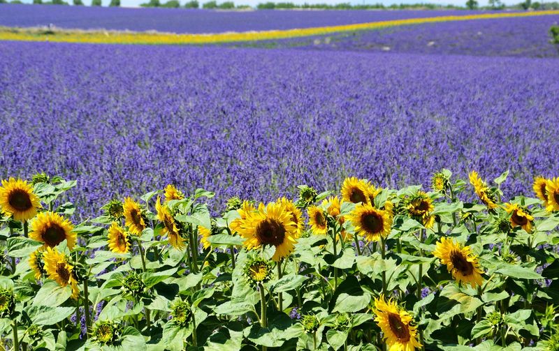 Camping dans village Varois-près des Tomasses