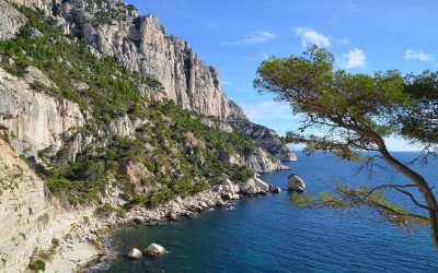 Camping proche rivière à la Londes les Maures